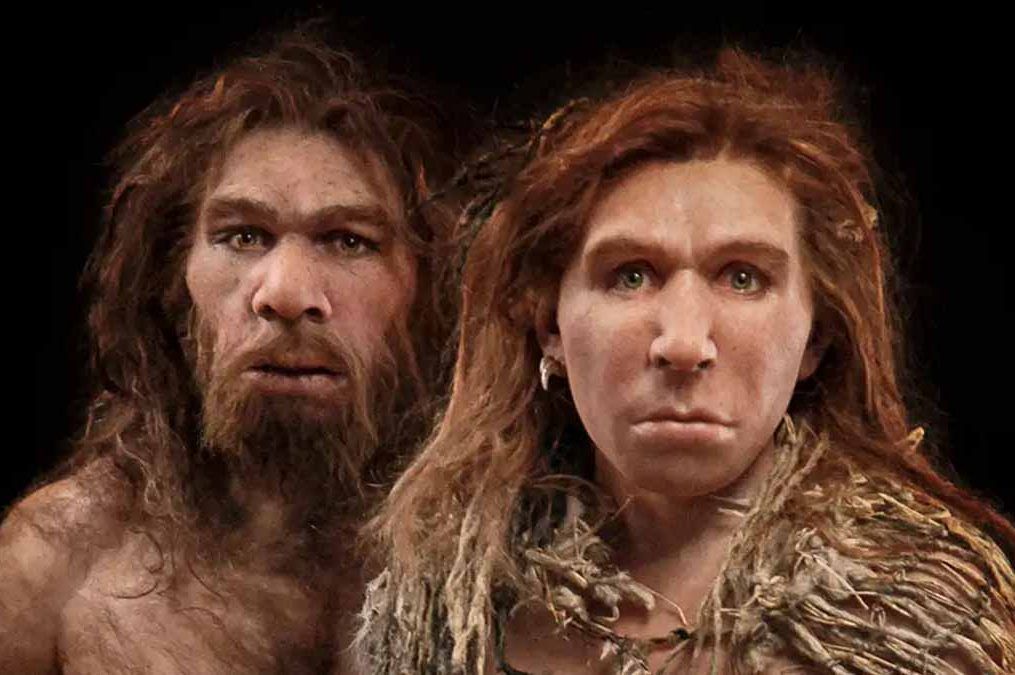 Modern İnsanların Kuzenleri Neandertaller